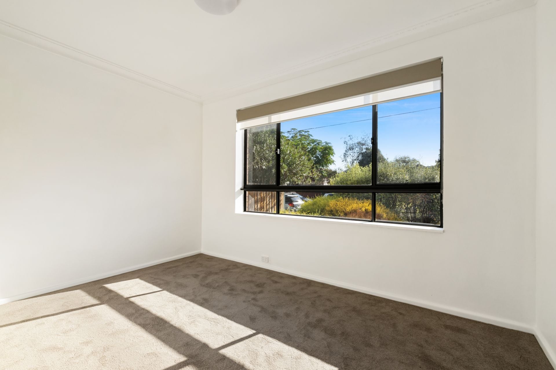 Stunning Renovated Apartment