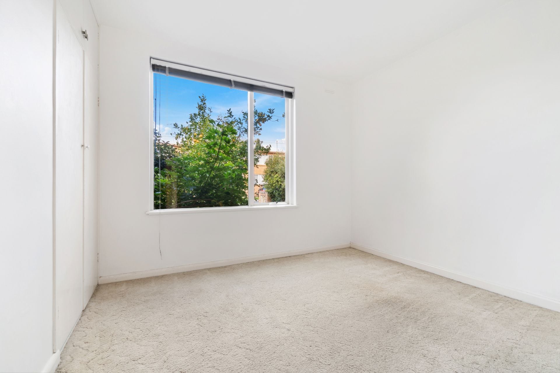 1/176 Glen Eira Road, Elsternwick - Thumbnail 6