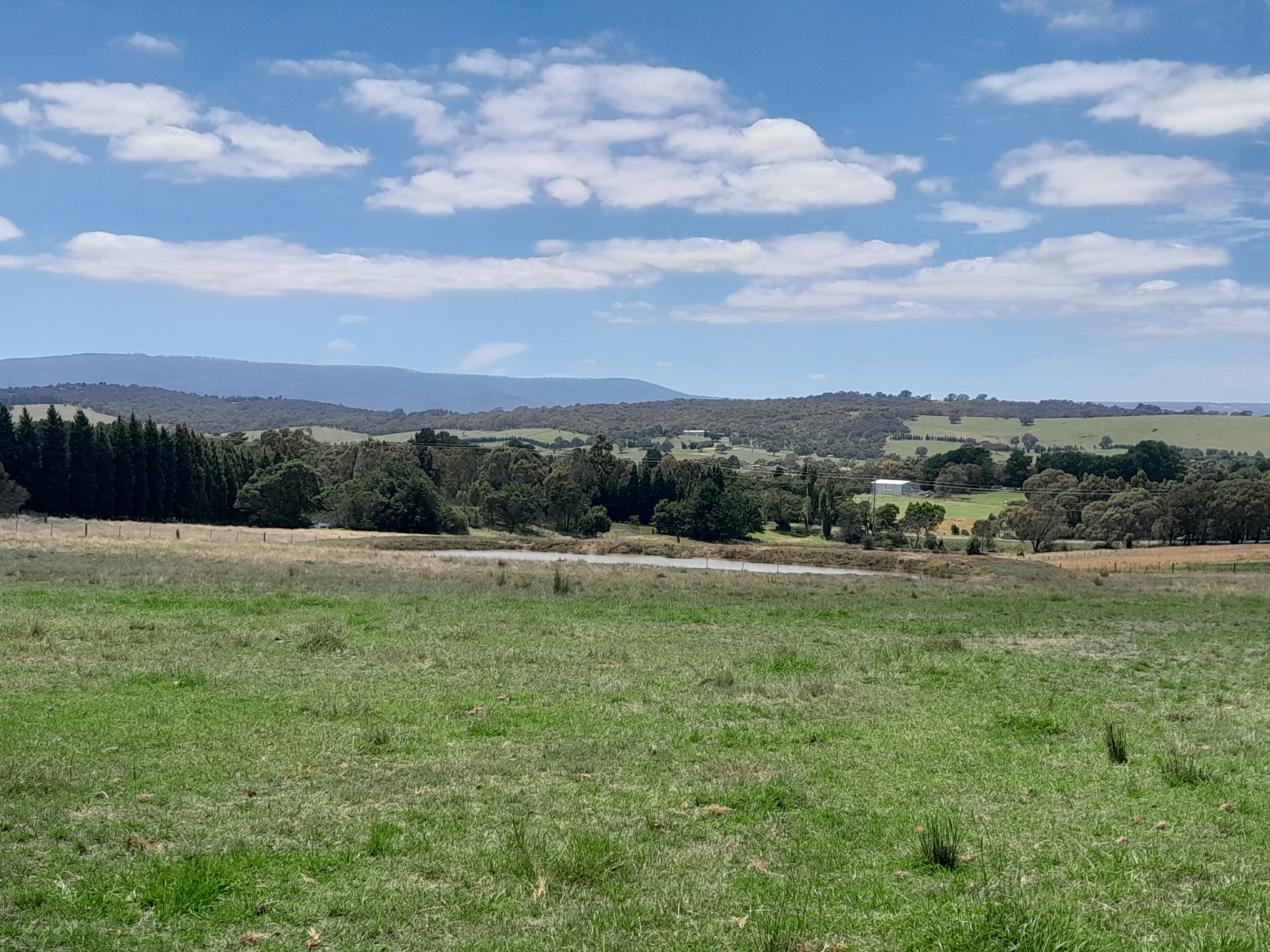 Low Maintenance Farm Living