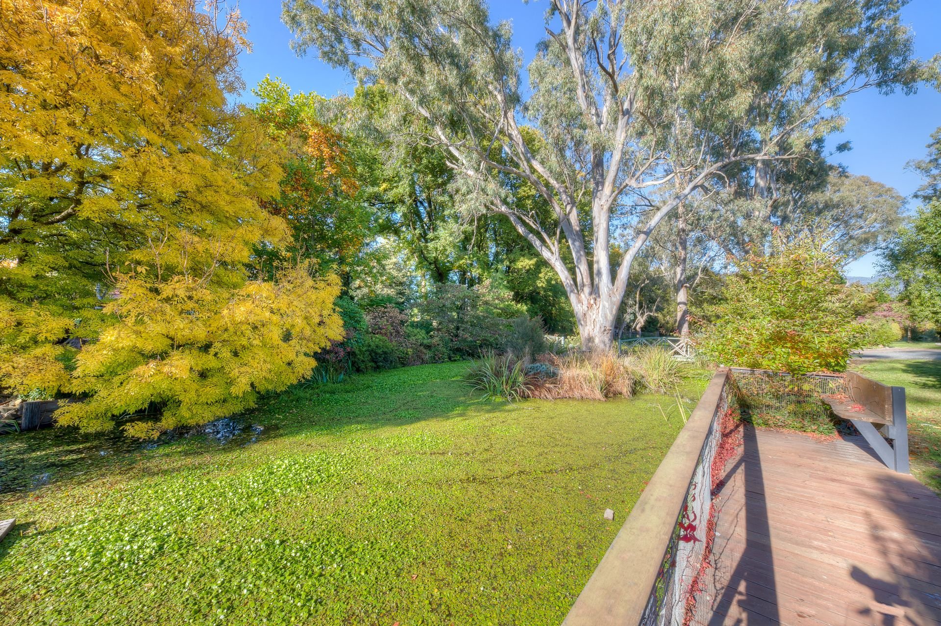 6430 Great Alpine Road, Eurobin Dickens Real Estate