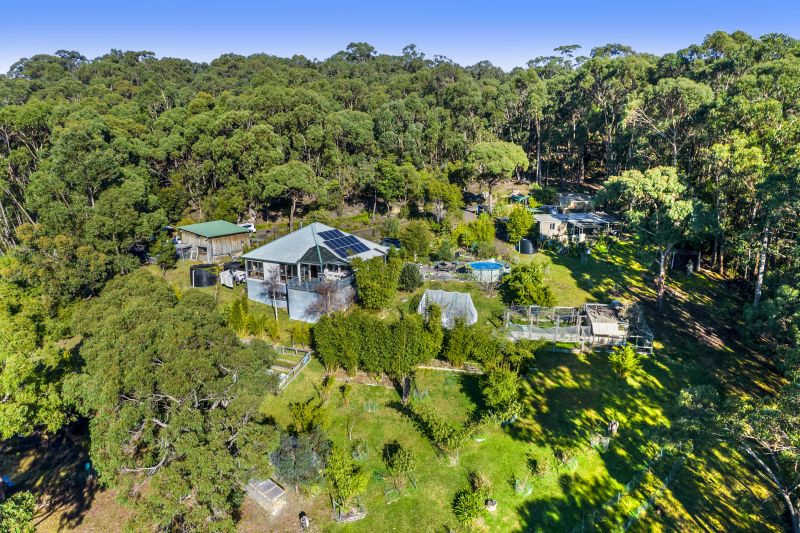 1875 Deans Marsh Road, Lorne, VIC, Lorne - Thumbnail 2