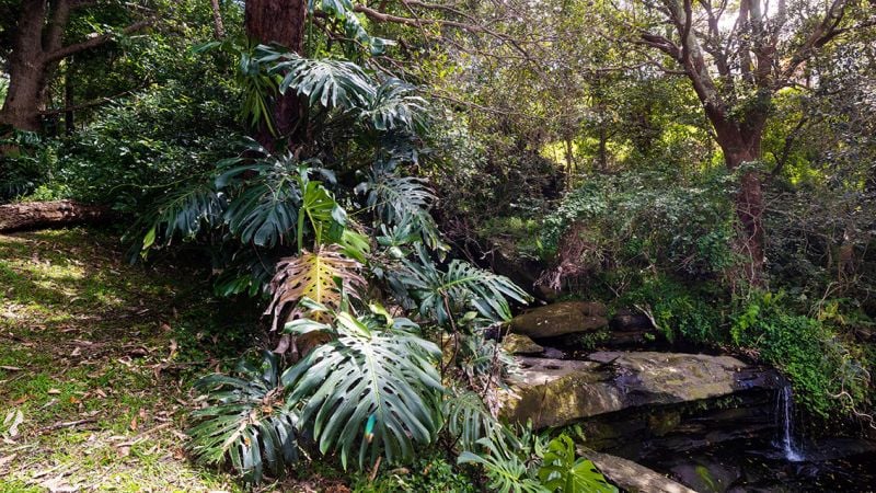 44 Parthenia Street, Dolans Bay NSW, Dolans Bay - Thumbnail 6