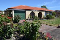 Donnybrook