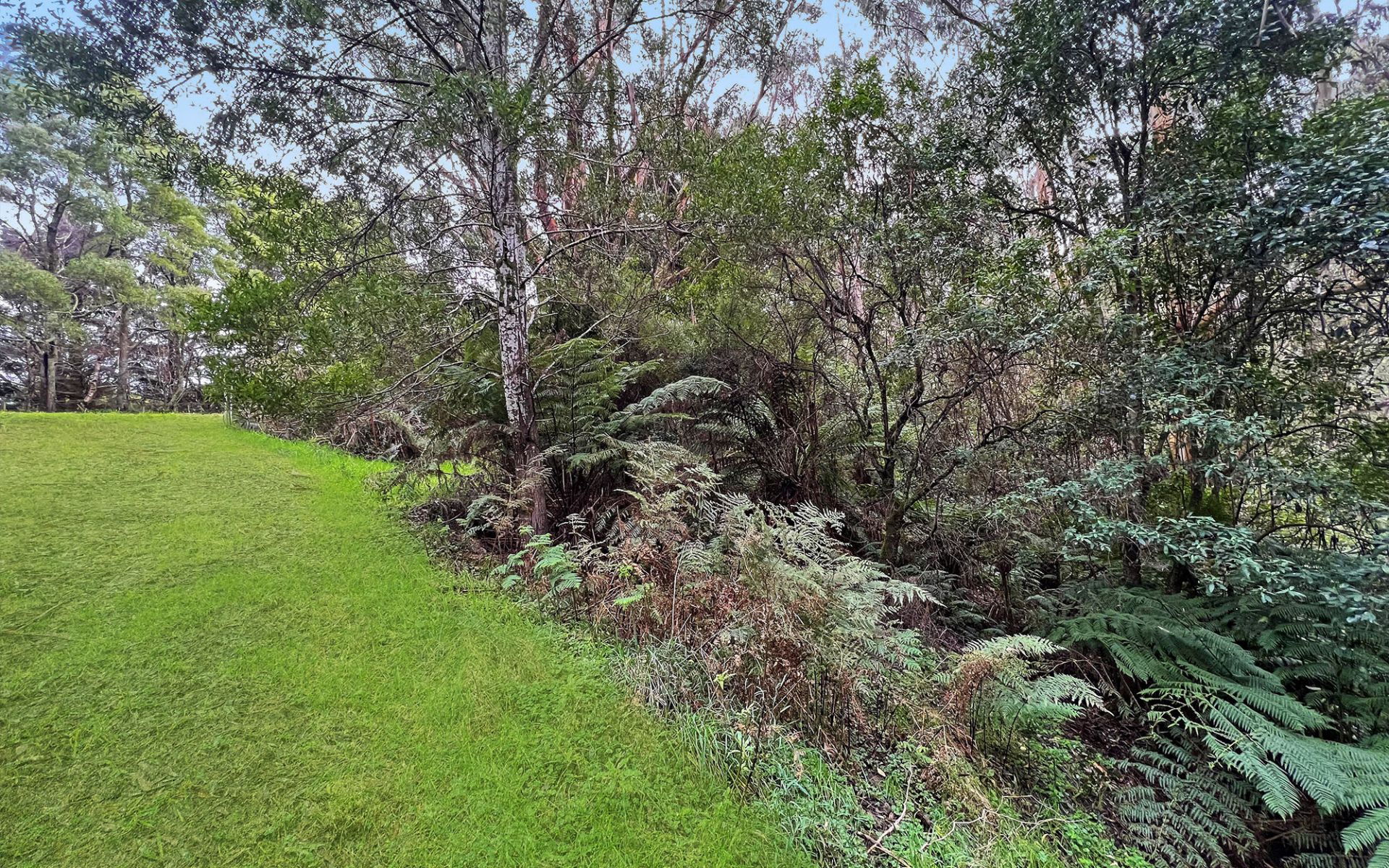 lot 1/56-58 Broughtons Access, Skenes Creek North - Thumbnail 4