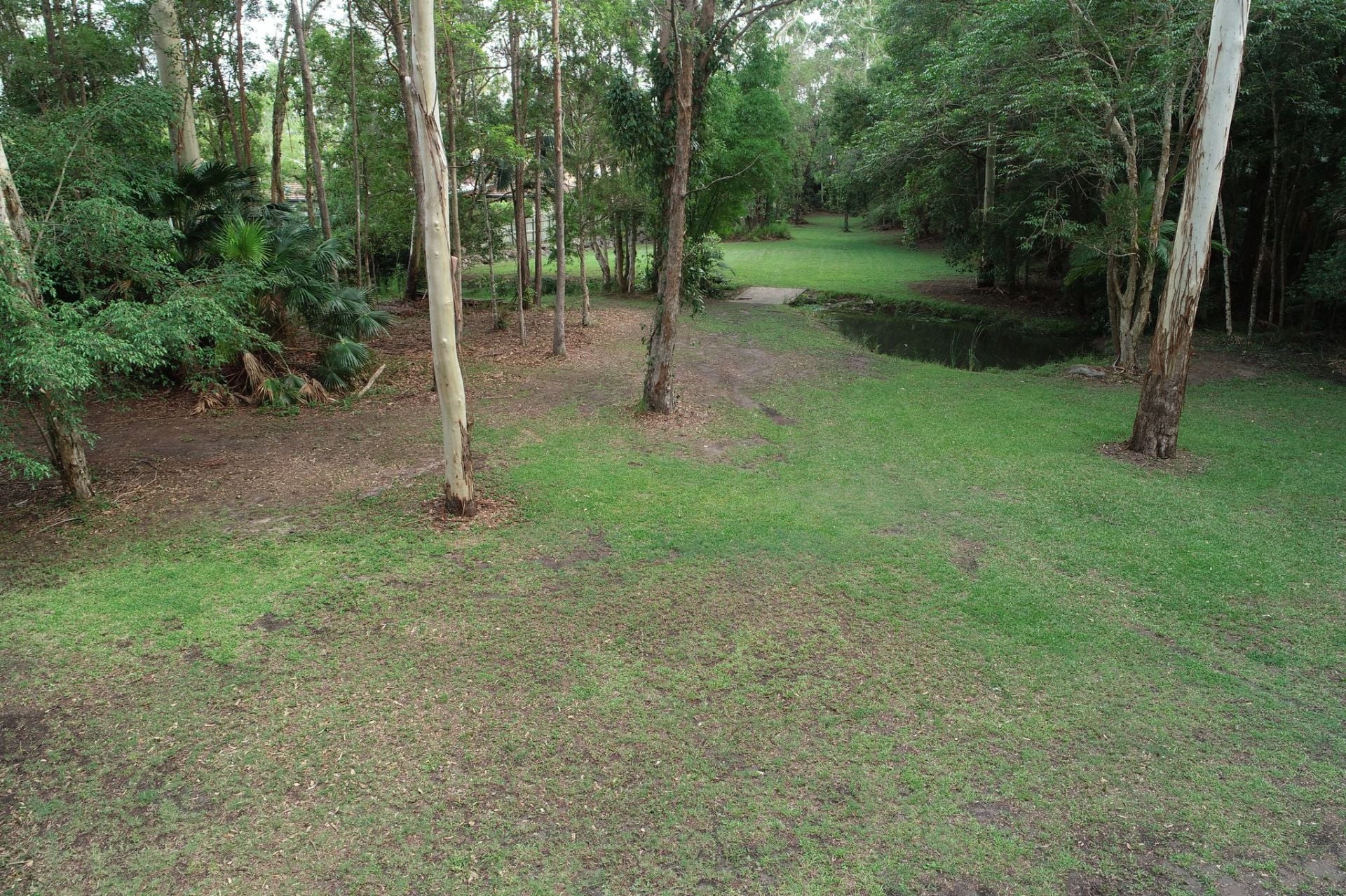 23A Nandewar Drive Buderim QLD, Buderim - Thumbnail 4