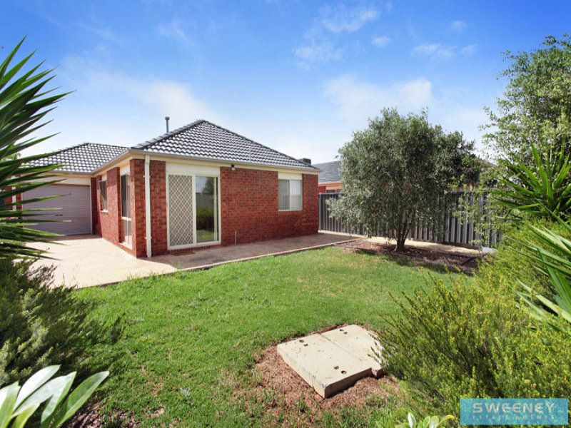 5 Klippel Way, Caroline Springs - Thumbnail 8