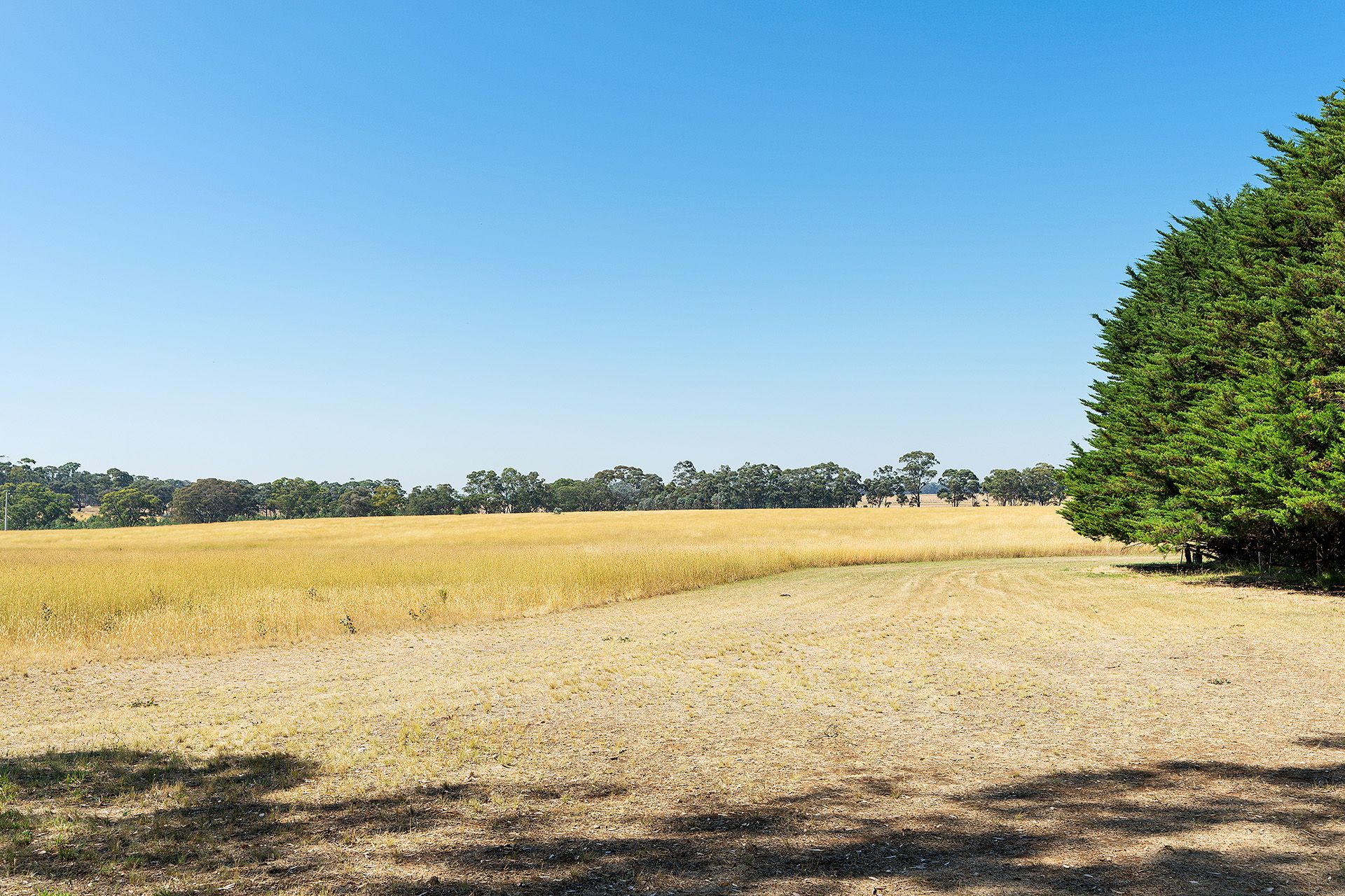 20 Ross Drive, Castlemaine - Thumbnail 6