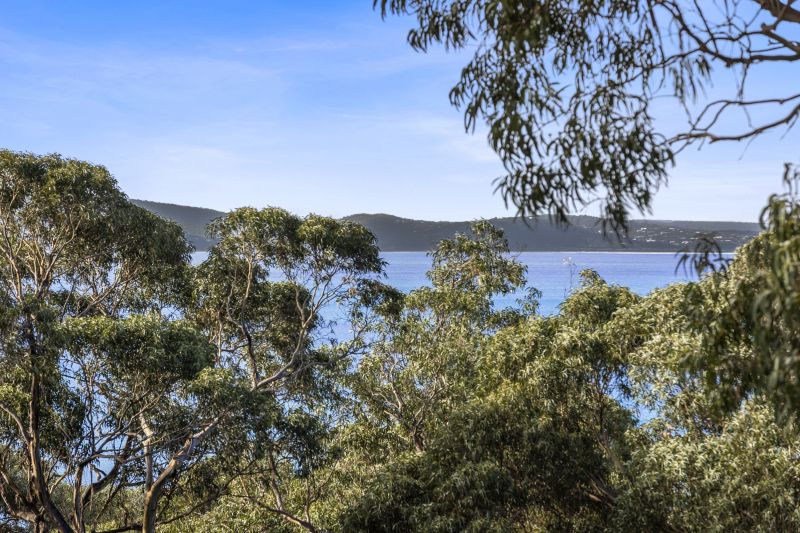 1/13 Lorne Avenue, Lorne, VIC, Lorne - Thumbnail 3