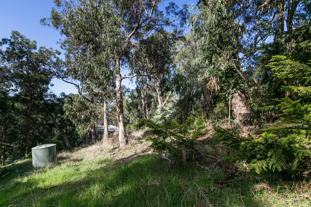 2 Ferny Grove, Kennett River, VIC, Kennett River - Thumbnail 2