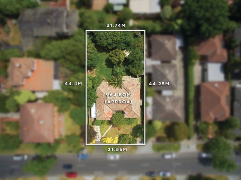 8 Glen Iris Road, Camberwell - Thumbnail 2