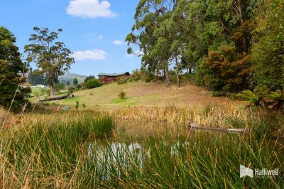 74 Atkins Drive, Acacia Hills, Acacia Hills - Thumbnail 3