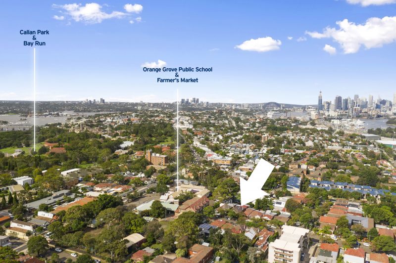 19 Rayner Street, Lilyfield