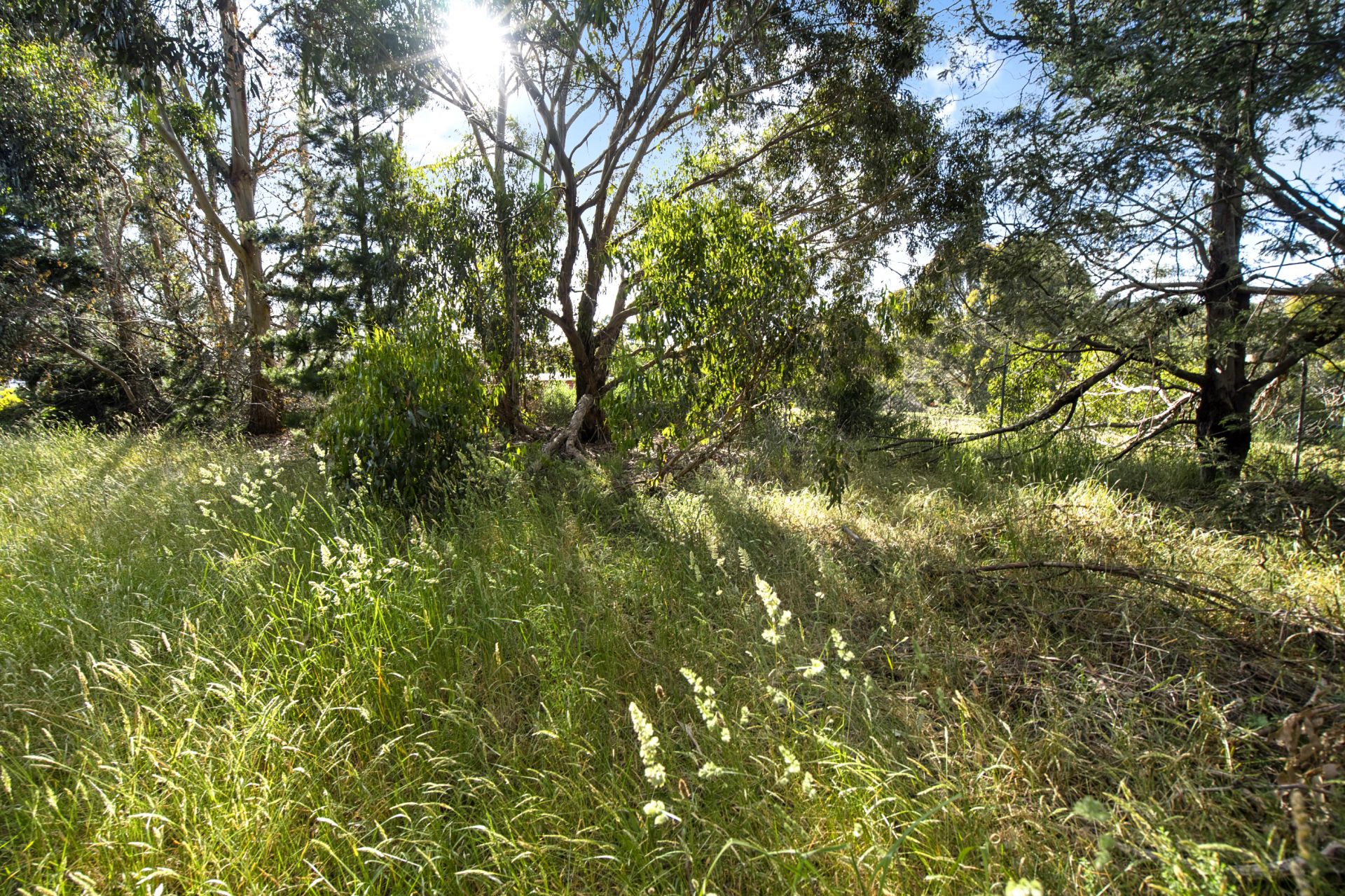 3 Daylesford Road Brown Hill VIC, Brown Hill - Thumbnail 5