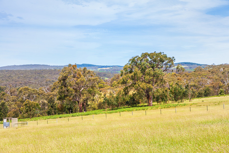 Lot 1, 1265 Winchelsea-Deans Marsh Road, Bambra, VIC, 1265 Winchelsea-Deans Marsh Road Bambra - Thumbnail 3