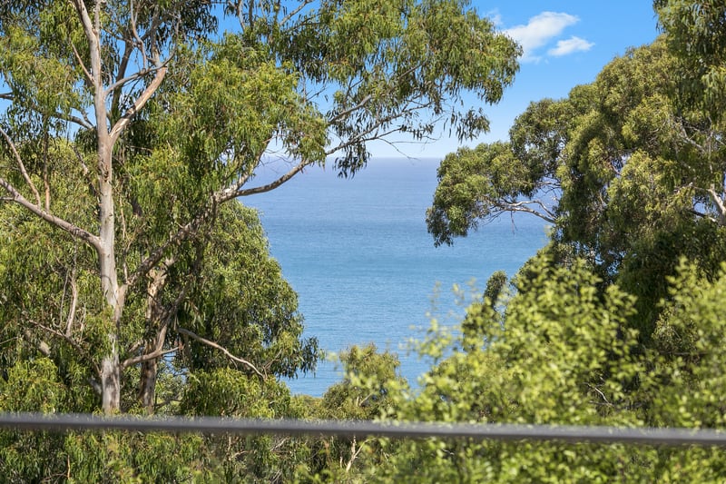 15 Normanby Terrace, Lorne, VIC, Lorne - Thumbnail 7