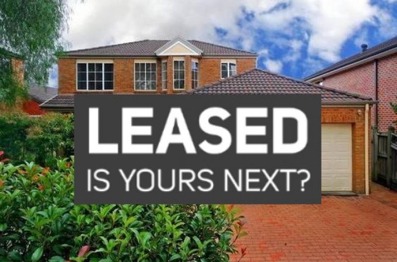 167 Excelsior Avenue, Castle Hill deVille Estate Agency