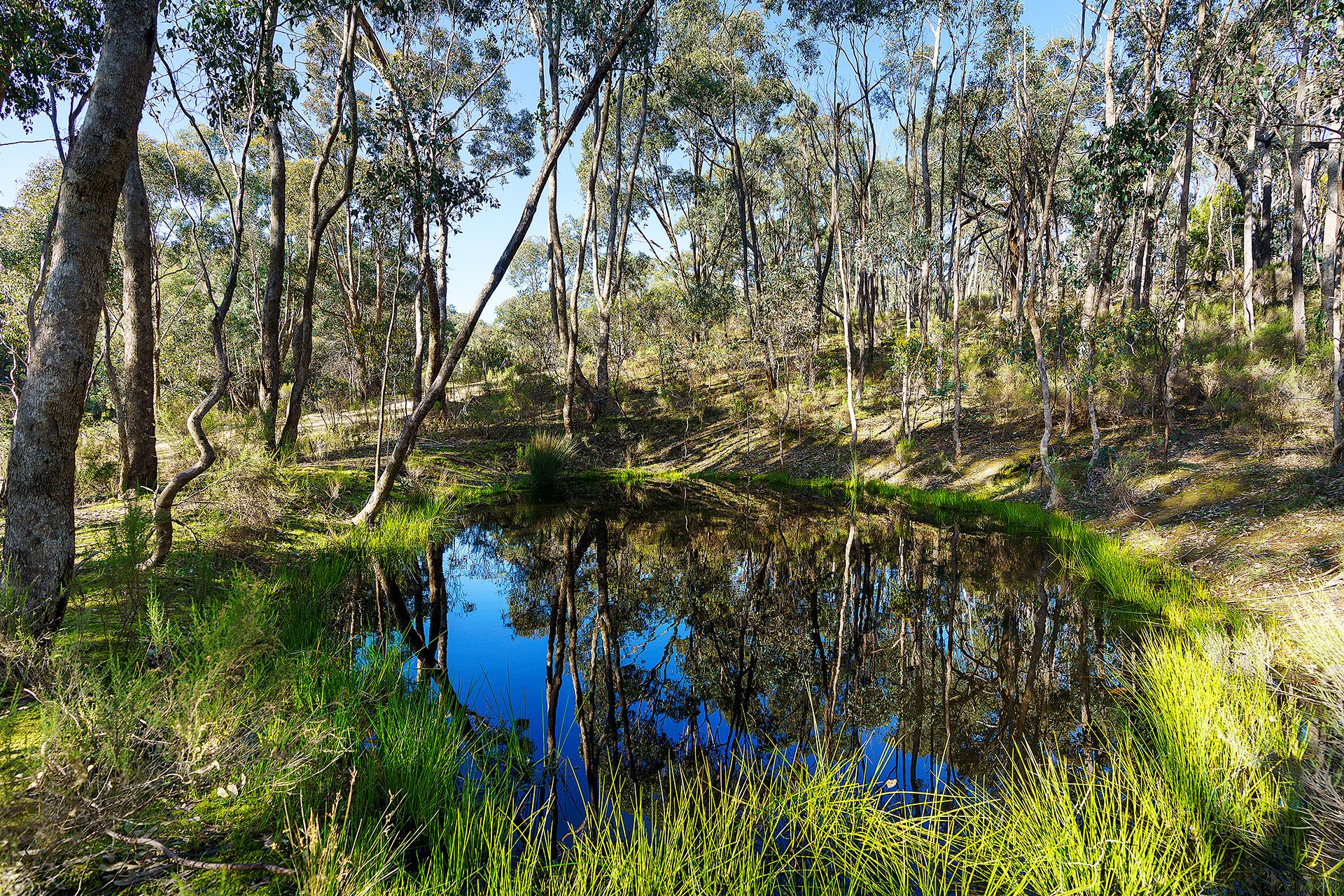 32 Dishpan Gully Road Chewton Bushlands, Chewton Bushlands - Thumbnail 5