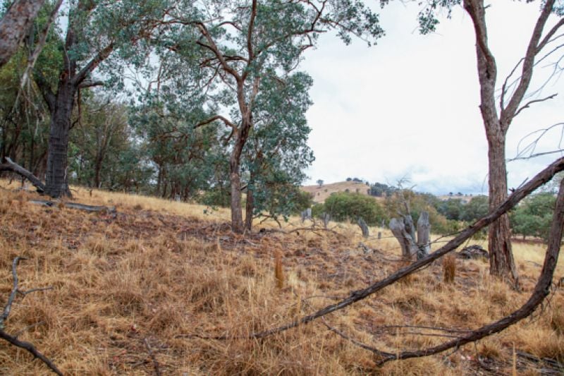 174 Jelbart Road Albury NSW, Albury - Thumbnail 7