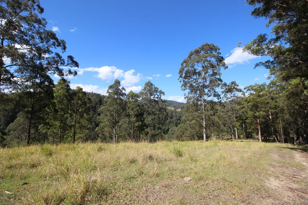 , BIRDWOOD NSW 2446
