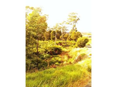 10 Langslow Drive, MIANDETTA, Miandetta - Thumbnail 5