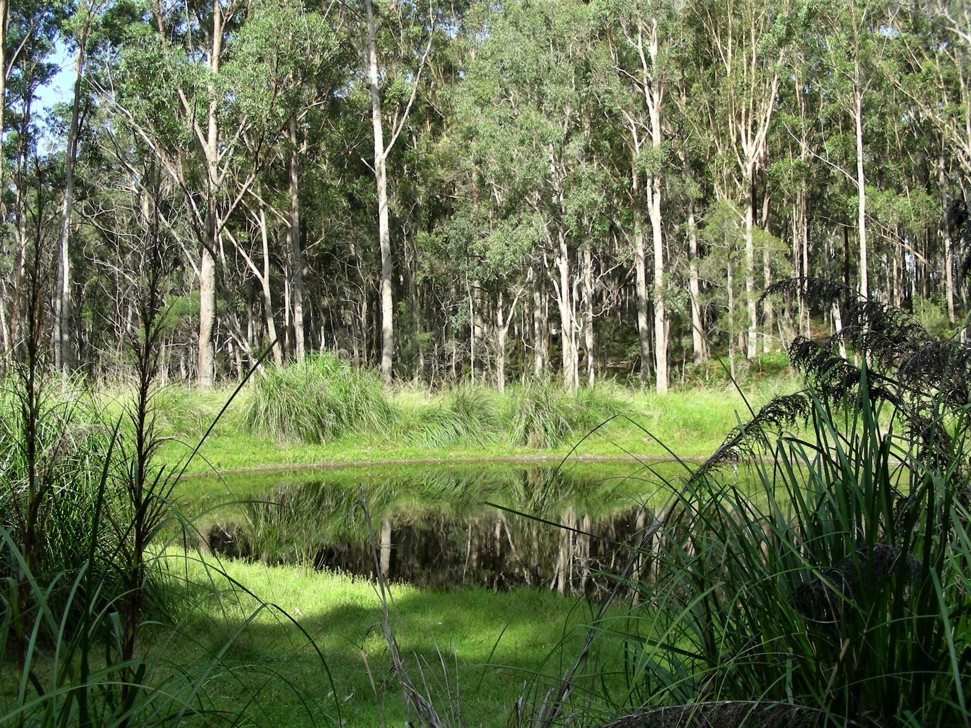 1576 Tathra Bermagui Road Tanja NSW, Tanja - Thumbnail 8