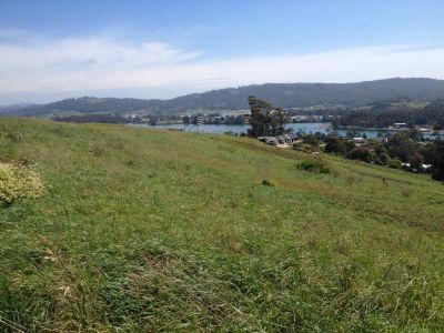 38 Skyline Drive, EAST DEVONPORT, East Devonport - Thumbnail 3