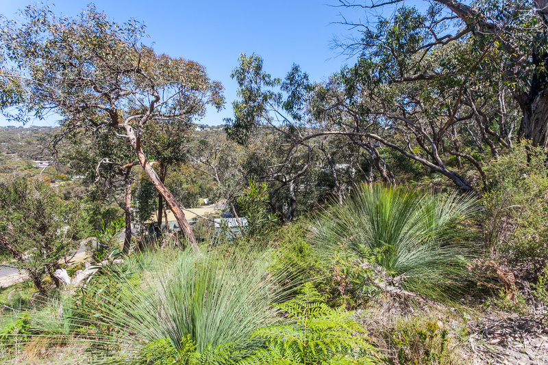 30 Niblick Street, Anglesea, VIC, Anglesea - Thumbnail 3
