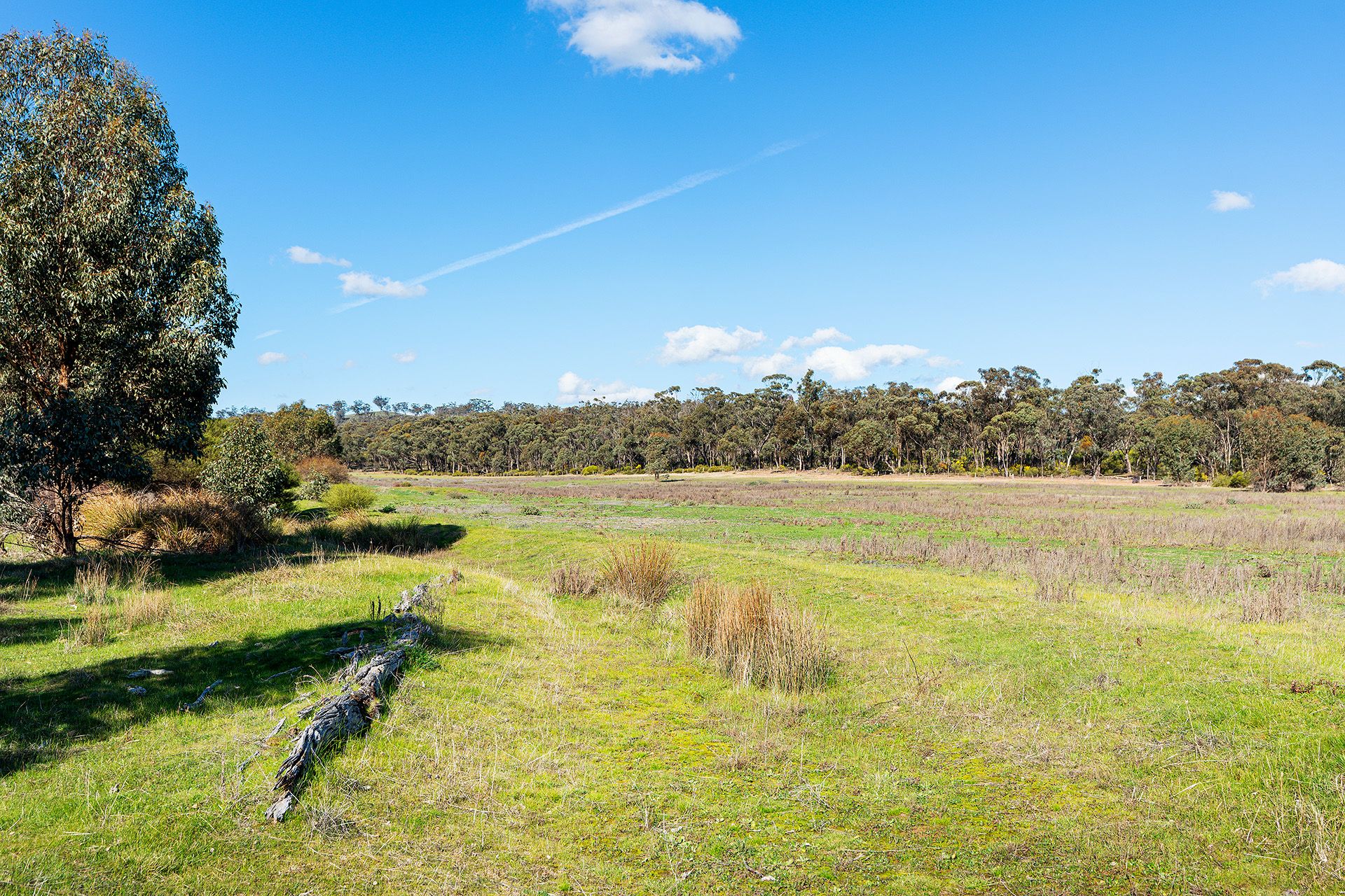 Lot 5, 58 Main Street Eldorado, Harcourt - Thumbnail 8