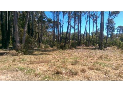 142 Stony Rise Road, STONY RISE, Stony Rise - Thumbnail 4