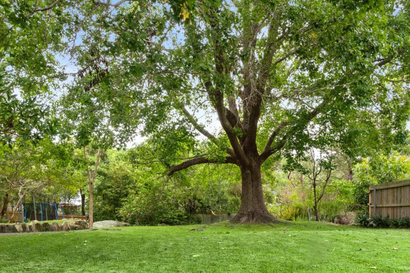 30 Richmond Avenue, St Ives