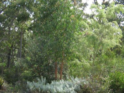 4
 
 
 
  
 
 
 2
 
 
 
  
 
 
 2
 
 
 
 
 
 
 
 291 Tugrah Road, TUGRAH TAS 7310, Tugrah - Thumbnail 4