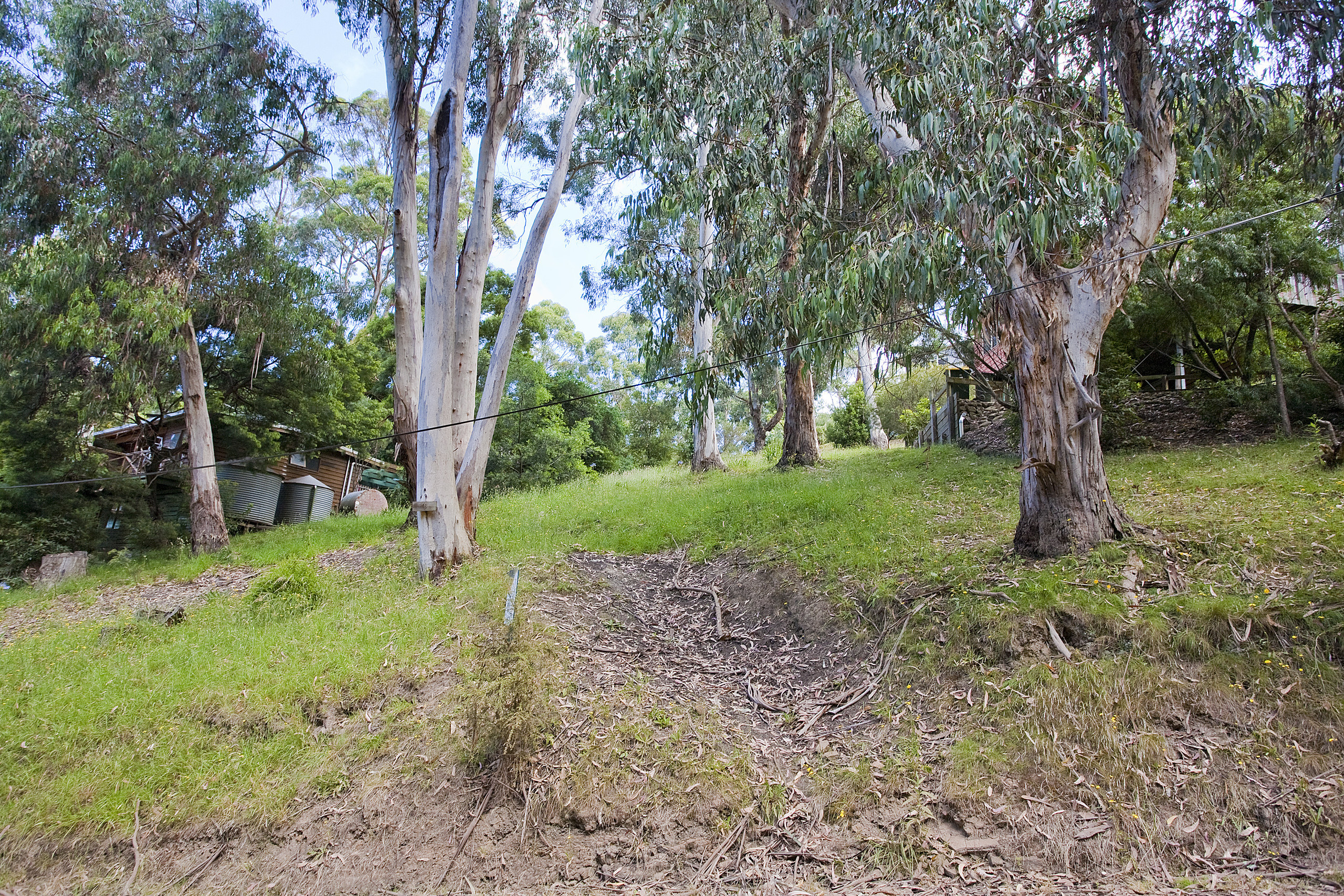 18 Cassidy Drive, Kennett River, VIC, Kennett River - Thumbnail 5