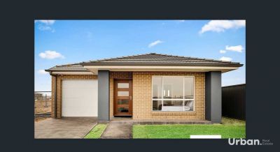 Schofields 11 Hornet Street