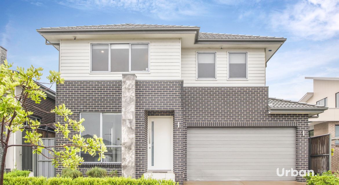 Box Hill 80 Brahman Road