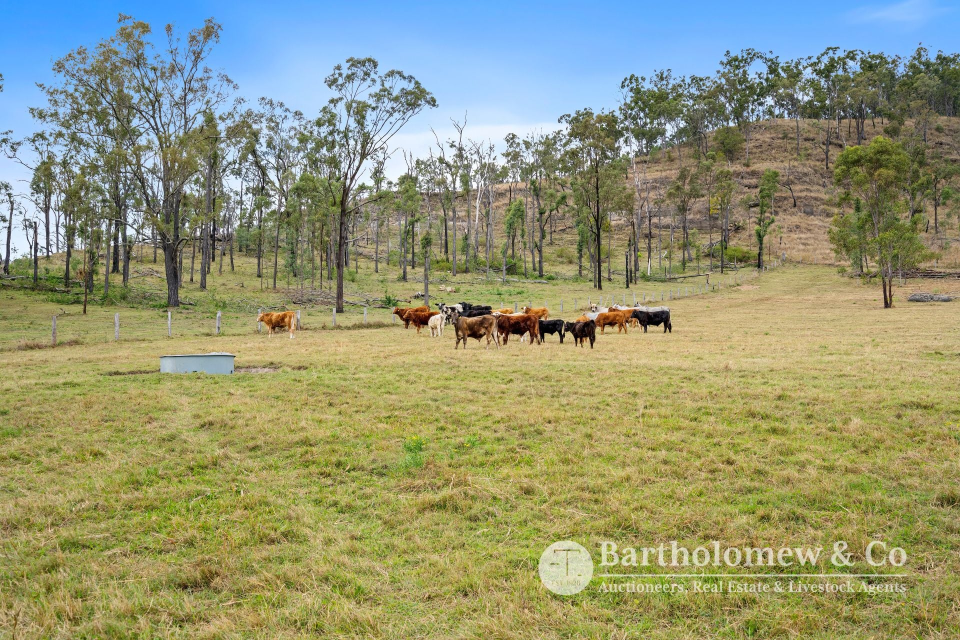 Upper Allan Creek Road Bromelton QLD, Bromelton - Thumbnail 7