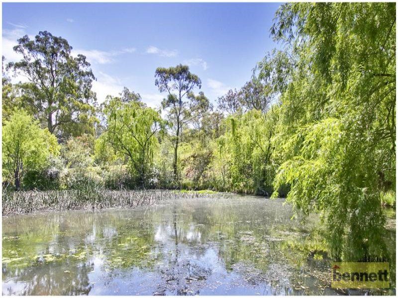 151 Terrace Road, North Richmond - Thumbnail 8