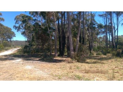 142 Stony Rise Road, STONY RISE, Stony Rise - Thumbnail 3