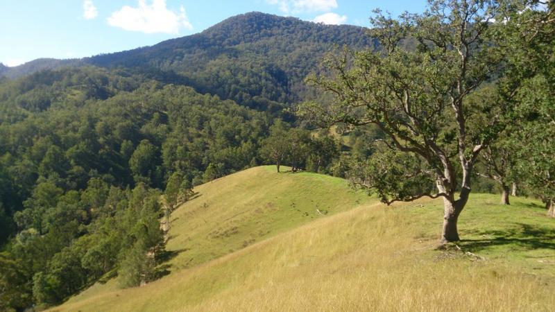 , YARROWITCH NSW 2354