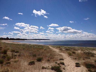 Days like these! 9 doors to the beach & plenty of rustic charm on 919m2