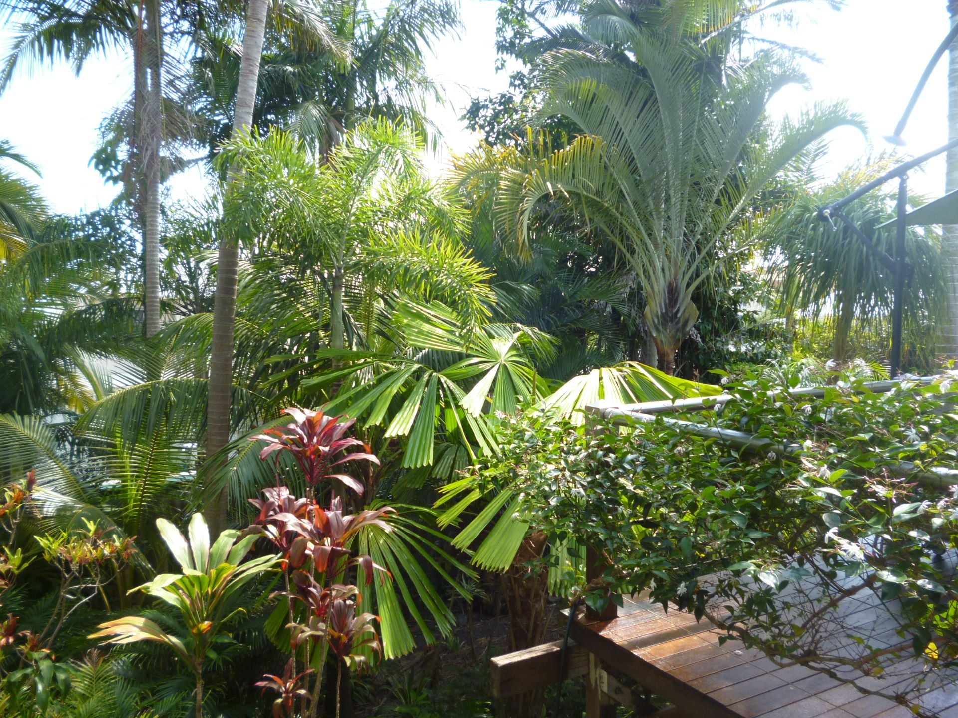 32 George Street Alexandra Headland QLD, Alexandra Headland - Thumbnail 6