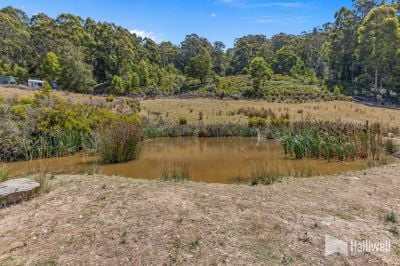 55A Squibbs Road, Spreyton, Spreyton - Thumbnail 4