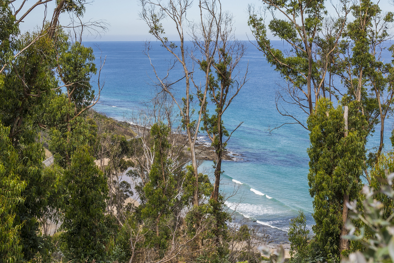 9 Dunoon Road, Wye River, VIC, Wye River - Thumbnail 3