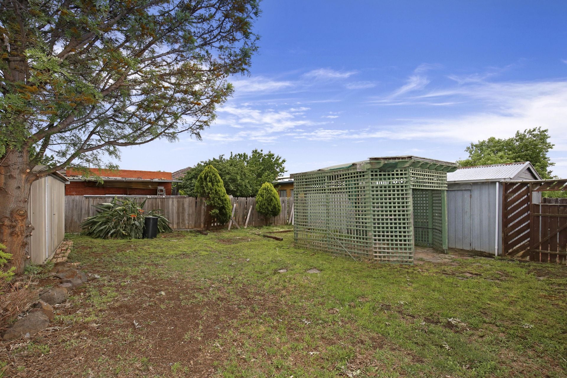 Affordable Opportunity, Future Options