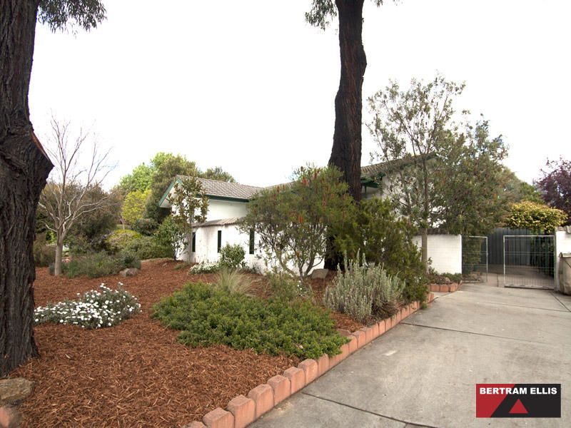 25 Wirilda Street, Rivett - Thumbnail 2