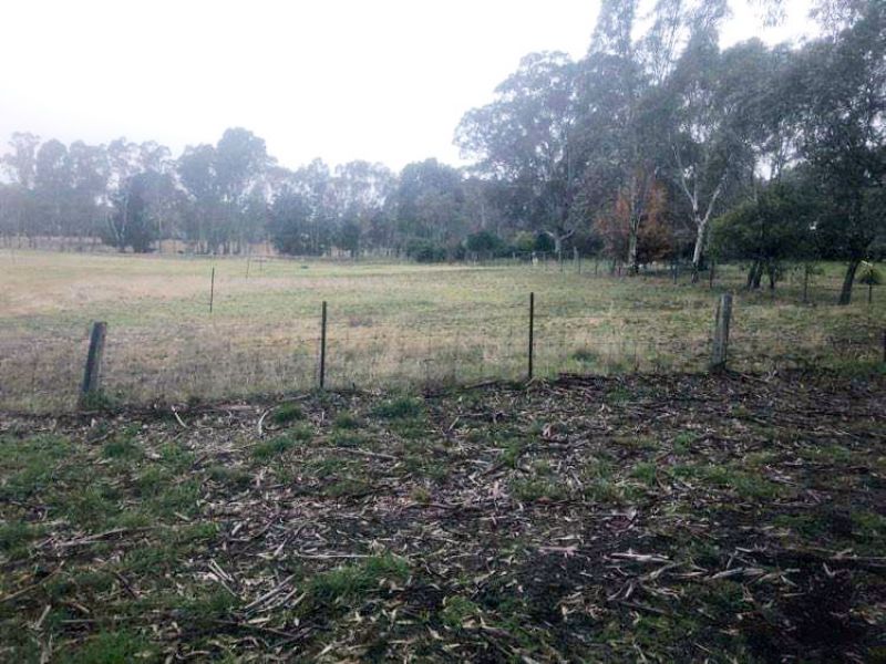 CA4/ Sunraysia Highway, Lexton, Lexton, Lexton - Thumbnail 5