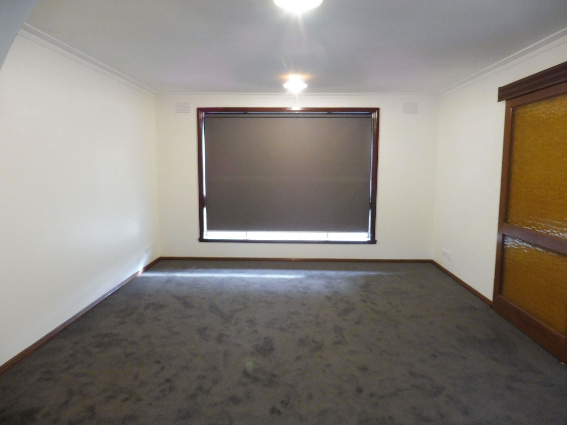 NEWLY RENOVATED DELIGHT