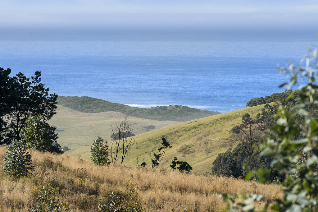 505  Blue Johanna Road, Johanna, VIC, Johanna - Thumbnail 4