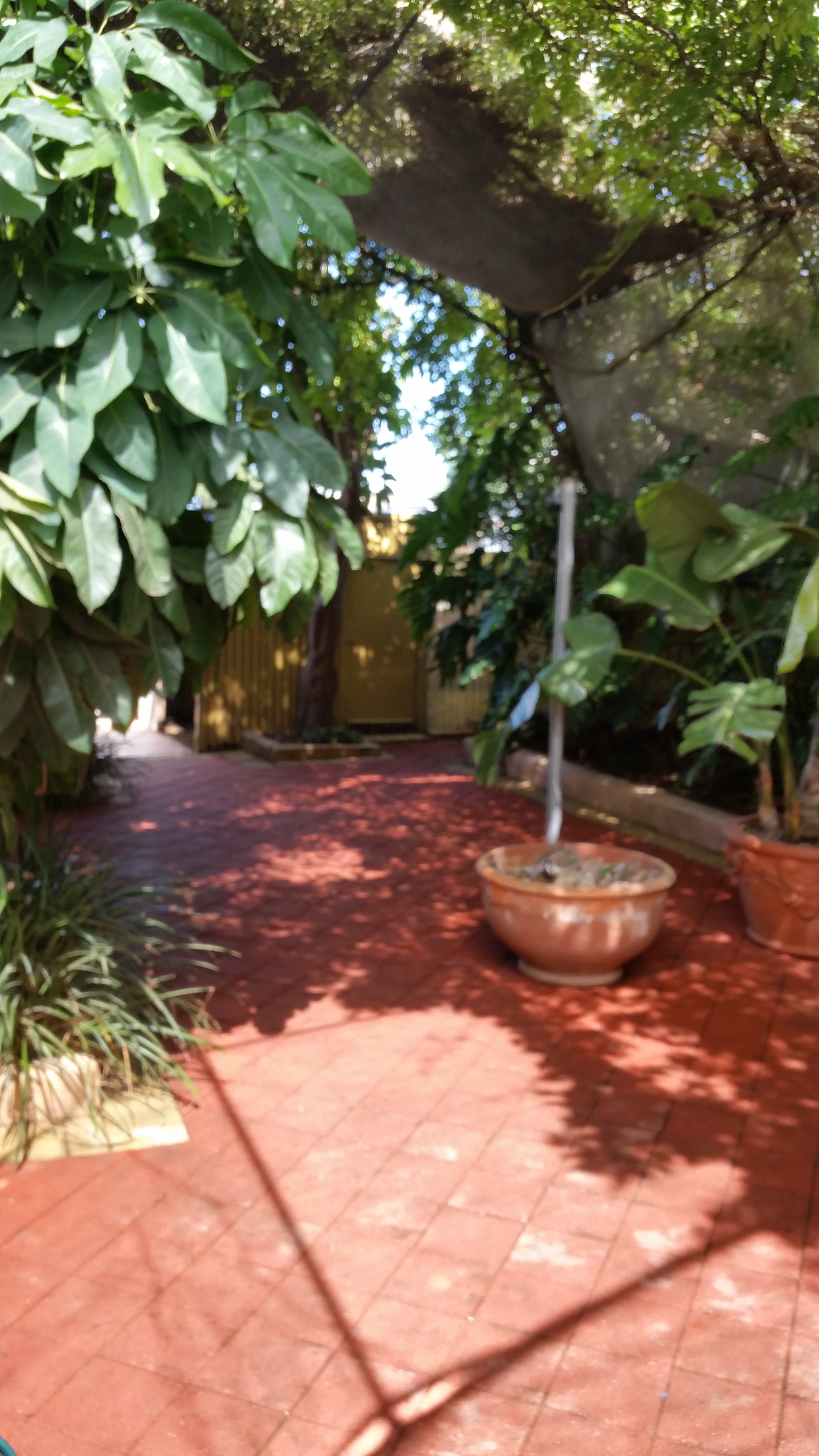 6 Twelfth Gawler South 5118