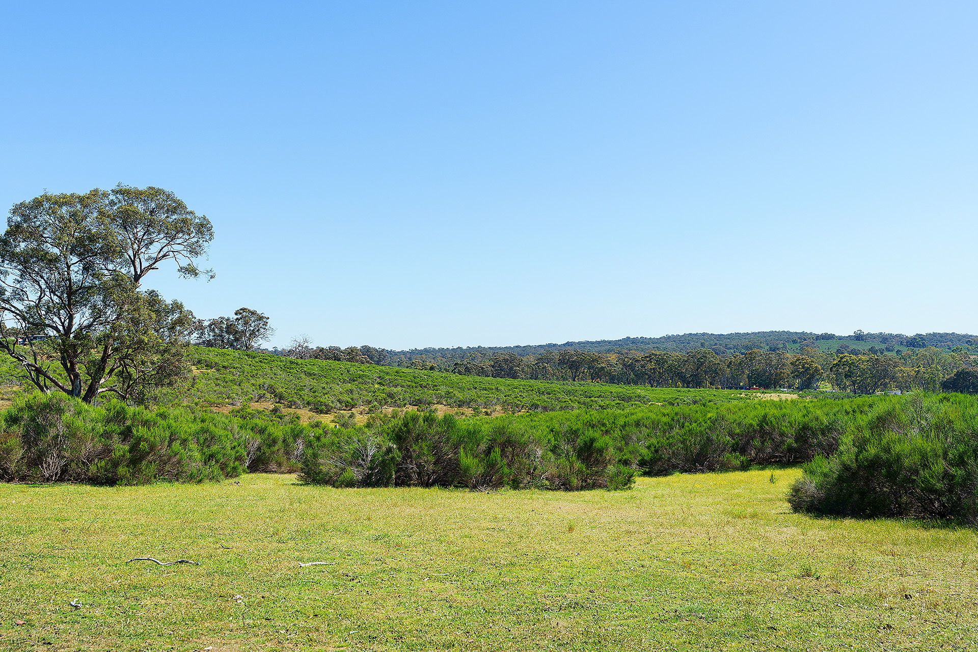 Real Estate For Sale Lot 2H/ Hylands Lane Heathcote , VIC