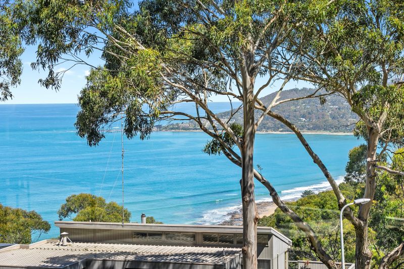 12 Skyline Court, Lorne, VIC, Lorne - Thumbnail 3